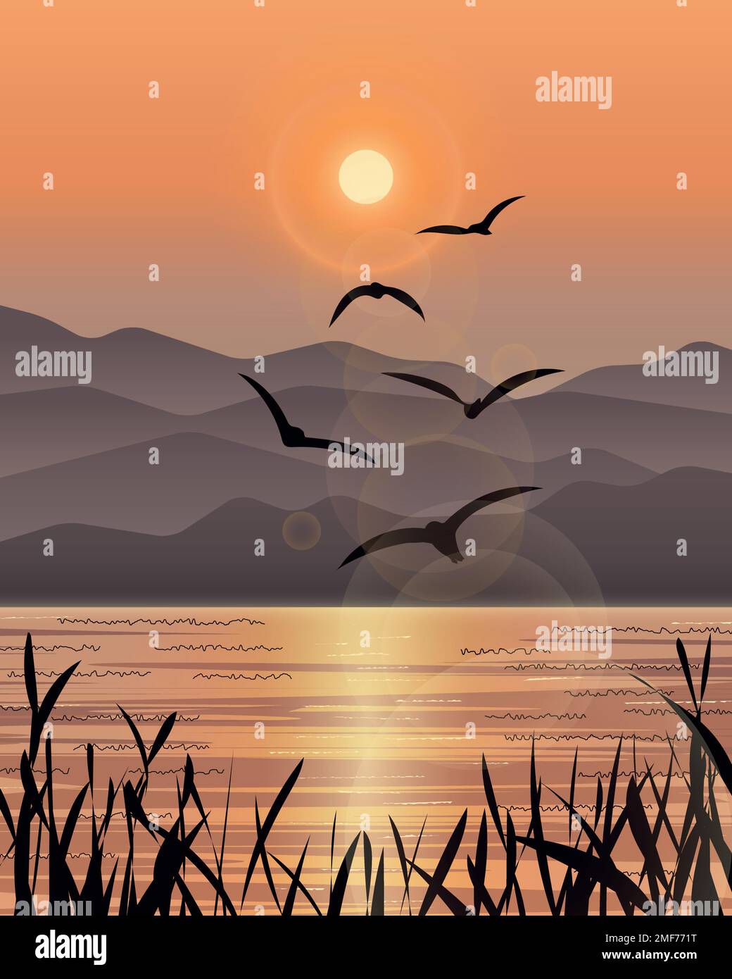 Seascape-Illustration mit der Schar von Möwen, die im Hintergrund bei Sonnenuntergang fliegen, und der Silhouette von Schilf im Vordergrund. Stock Vektor