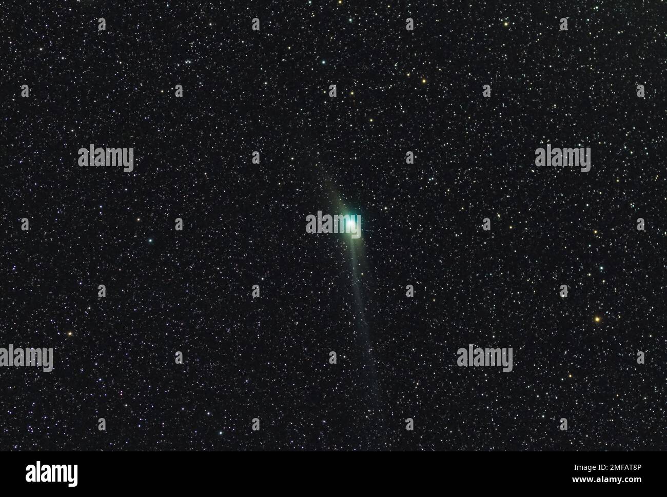 C/2022 E3 (ZTF), ein langjähriger Komet aus der Oort Cloud, wurde am 25. Januar 2023 mit einem 135mm-mm-Objektiv und einer gekühlten Kamera fotografiert Stockfoto