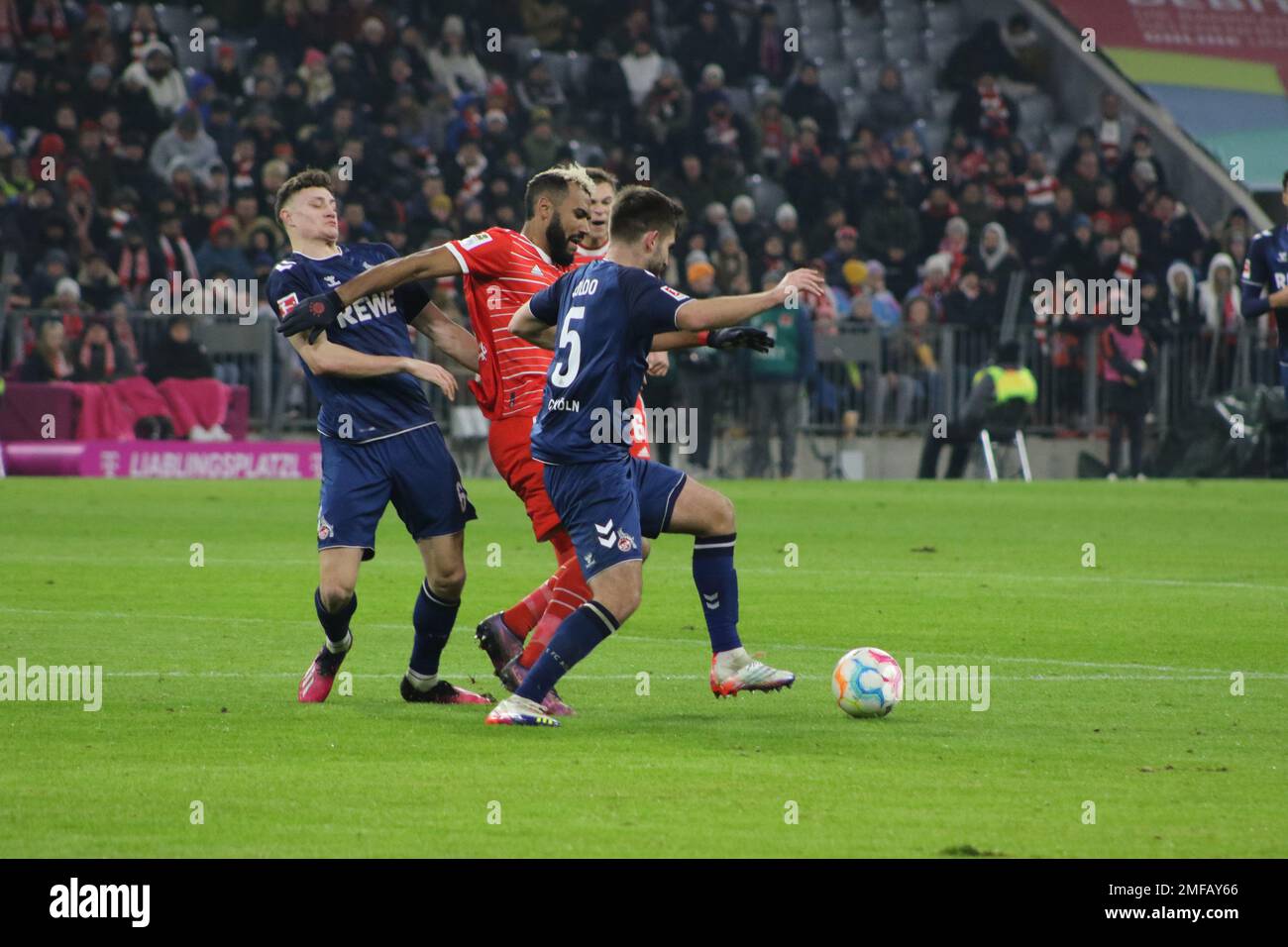 München, Deutschland. 24. Januar 2023. #13 Eric Maxim CHOUPO-MOTING, gegen #5 Nikola SOLDO und #6 Eric Martel, während des Bundesliga Fußballspiels zwischen dem FC Bayern Muenchen und dem FC Köln in der Allianz Arena in München am 24. Januar 2023, Deutschland. DFL, Fussball, 1:1 (Foto und Copyright @ ATP images/Arthur THILL (THILL Arthur/ATP/SPP) Kredit: SPP Sport Press Photo. Alamy Live News Stockfoto