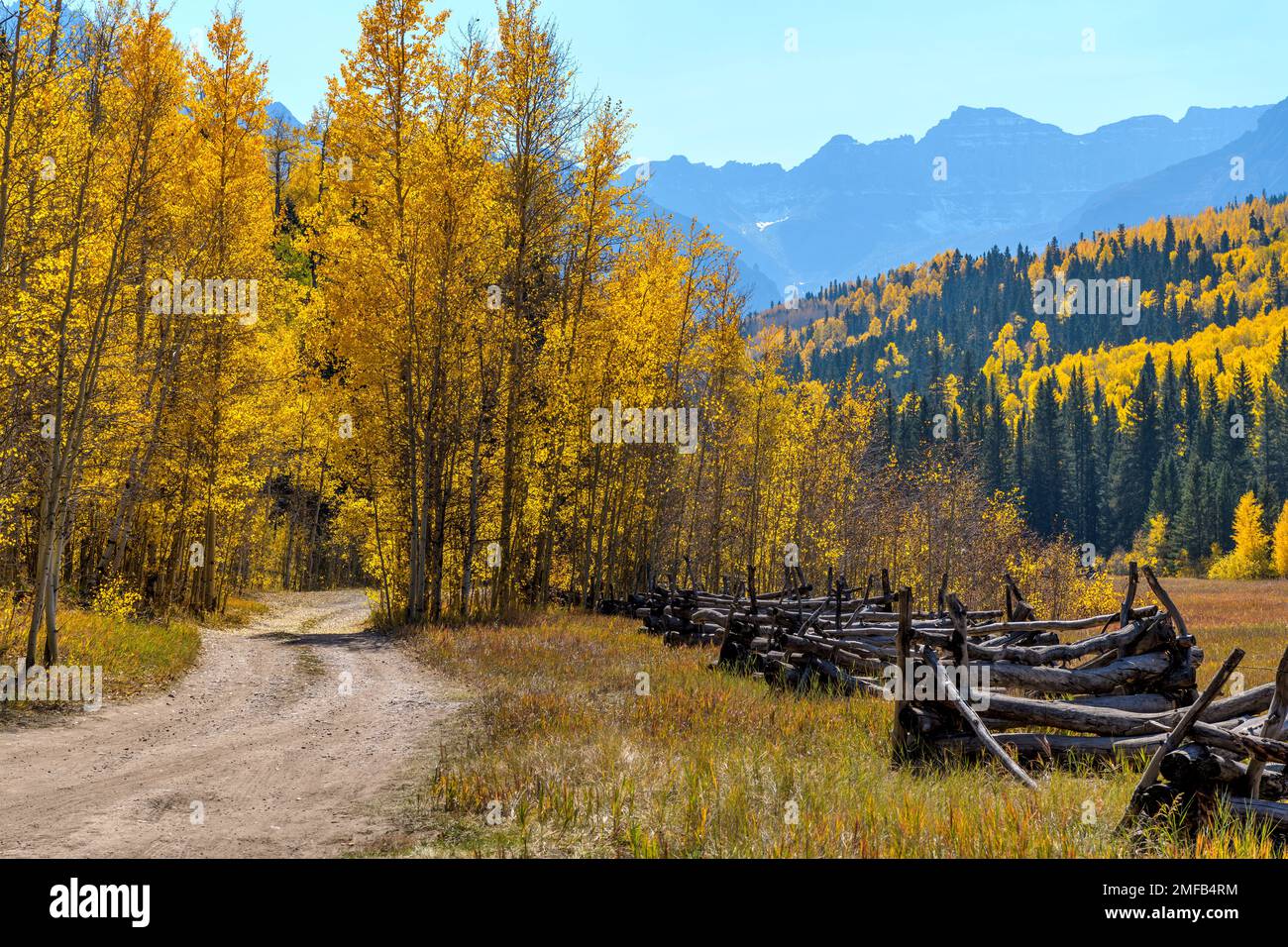 Herbsttal – Uncompahgre National Forest, CO, USA, Ist Eine Landstraße, die sich an einem sonnigen Herbsttag in einem farbenfrohen Tal am Fuße der Sneffels Range schlängelt. Stockfoto