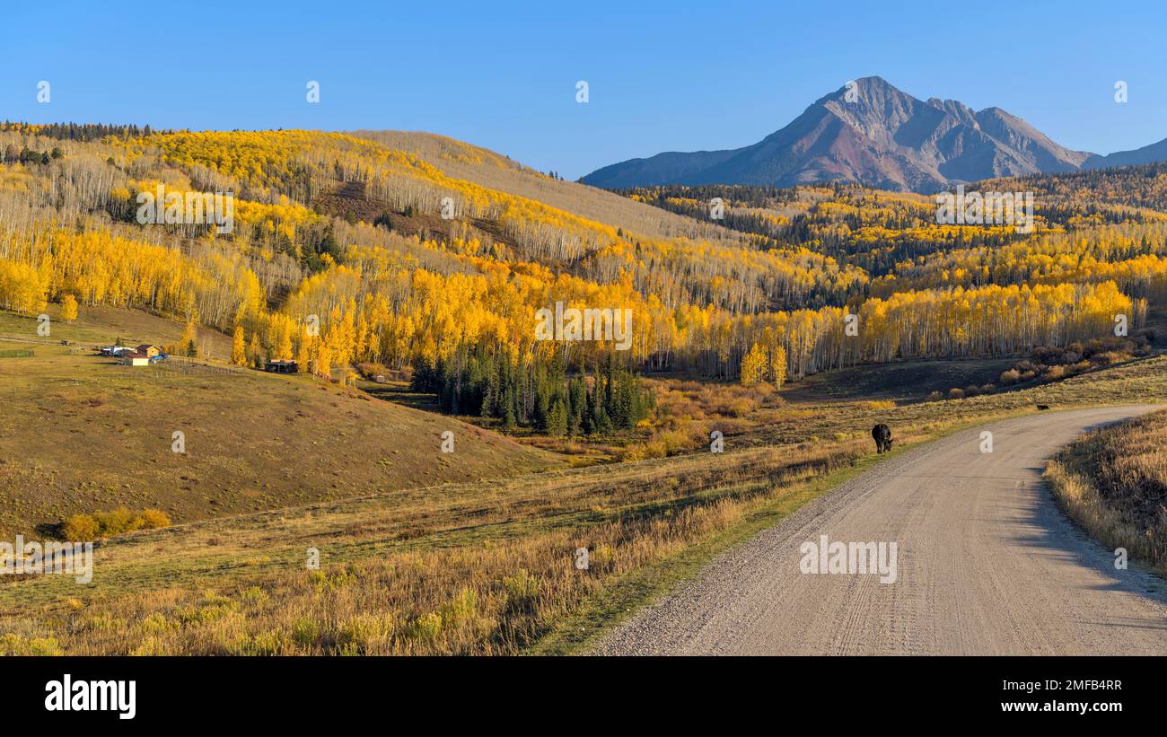 Wilson Mesa - Herbstblick auf sanfte Hügel, goldenen Wald und offenes Ranch am Fuße des Sunshine Mountain in Wilson Mesa an einem sonnigen Abend. CO, USA. Stockfoto