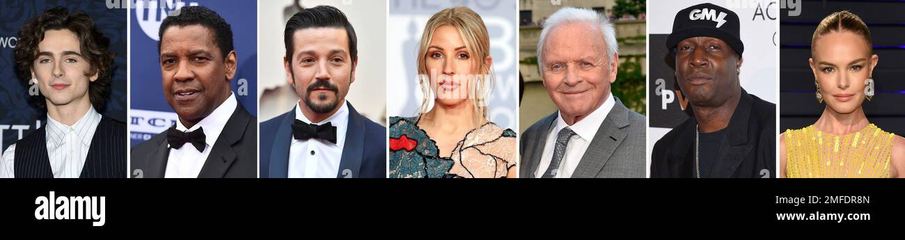 This combination photo of celebrities with birthdays from Dec. 27 - Jan 2 shows Timothee Chalamet, from left, Denzel Washington, Diego Luna, Ellie Goulding, Anthony Hopkins, Grandmaster Flash and Kate Bosworth. (AP Photo) Stockfoto