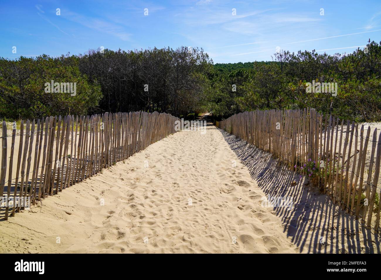 Küstenzugang Holzzaun zum Meeresstrand atlantikküste in Lacanau in Frankreich Stockfoto