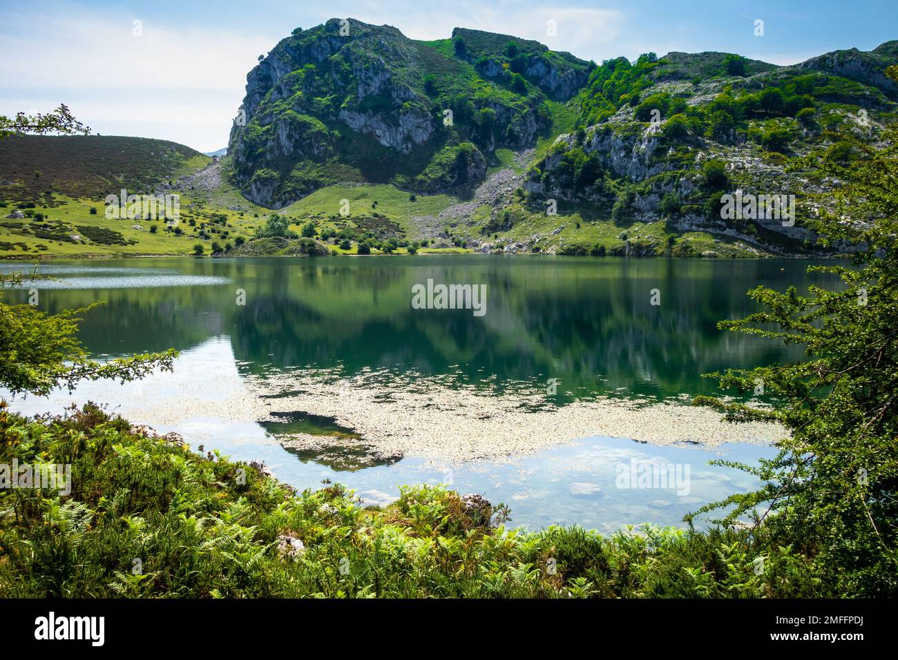 See Enol in Covadonga, Picos de Europa, Asturien, Spanien Stockfoto