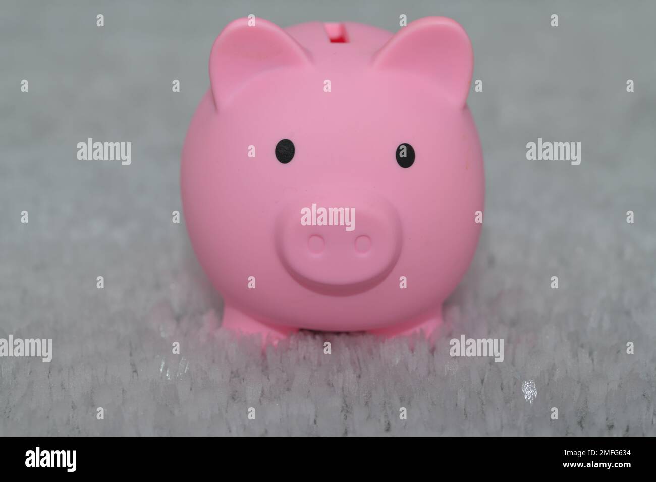 Ein Sparschwein saß im Schnee, Spareinlagen, Geldeinfrieren, Stockfoto