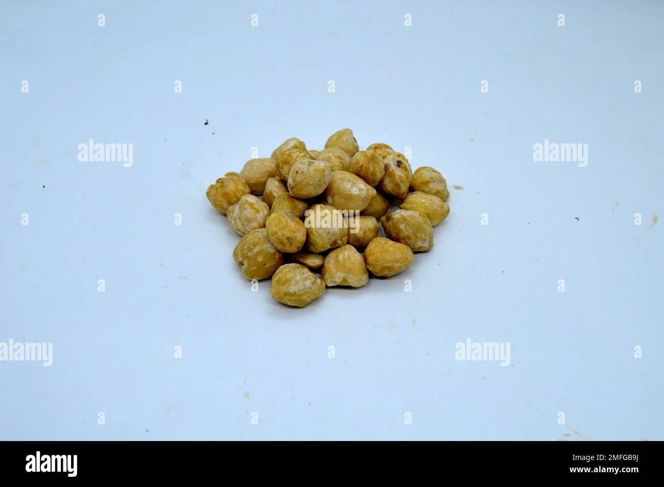 Kemiri Auch Bekannt Als Candleberry, Indian Walnut, Kemiri, Lackbaum, Nuez De La India, Buah Keras, Godou, Kukui Nut Tree Stockfoto