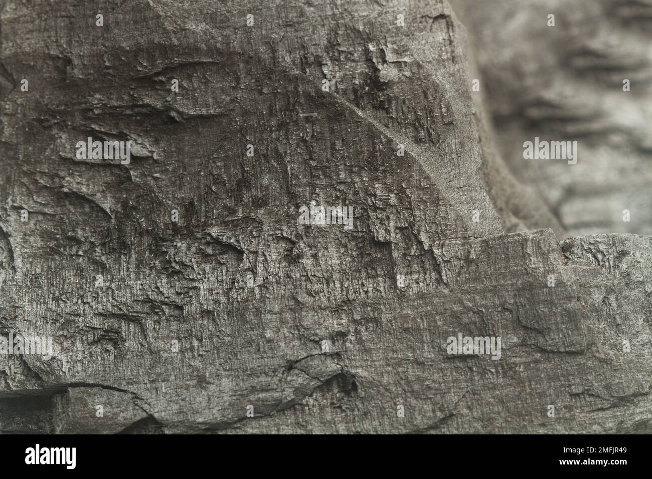 Textur eines Holzkohlestücks in Nahaufnahme Stockfoto