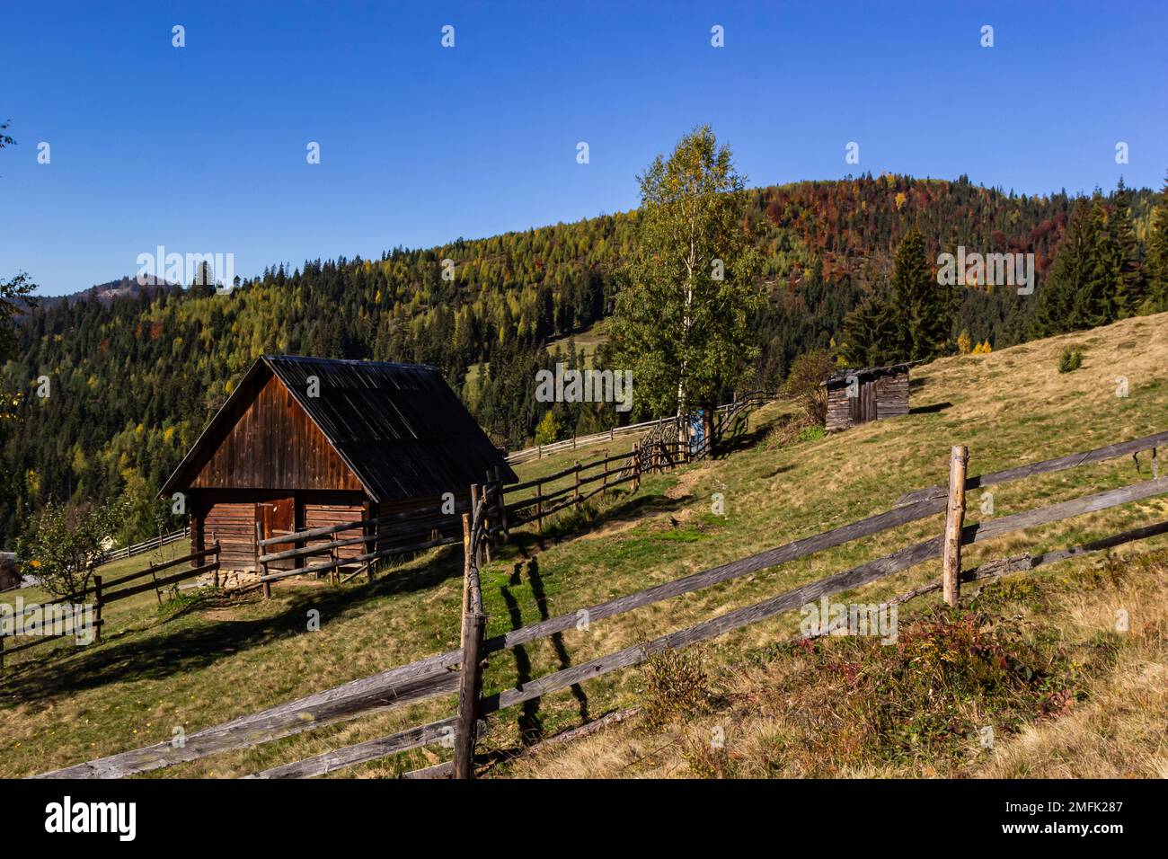 Ein altes, verlassenes Bauernhaus auf einer Bergwiese über den Karpaten. Wunderschöne Wanderlandschaft in der Ukraine. Herbstzeit. Stockfoto