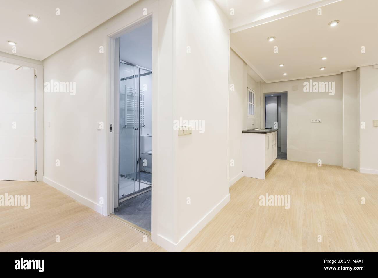 Studio-Apartment im Loft-Stil mit Küche zum Wohnzimmer und Zugang zu einer Dusche mit Glaskabine Stockfoto