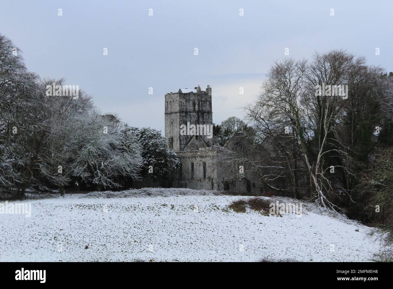 Muckross Abbey im Winter nach Schneefall. Schneebedeckte Muckross Abbey in der Abenddämmerung im Winter. Wintertapeten oder Bildschirmschoner im Kerry-Nationalpark Stockfoto