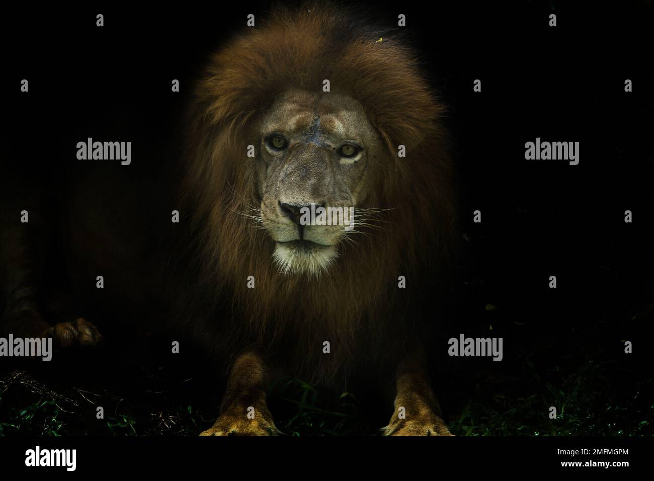 Cool Stockfoto
