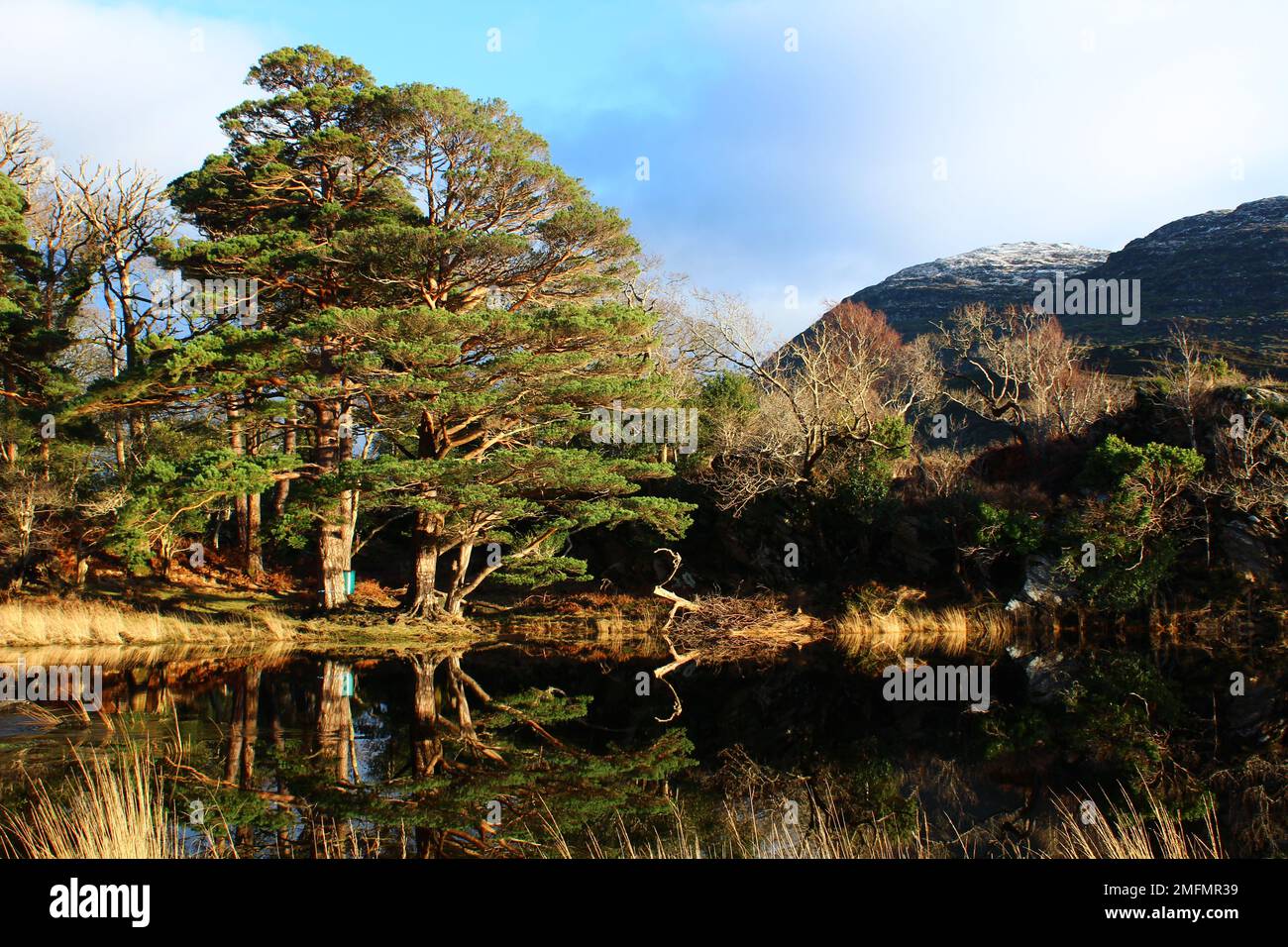 Meeting of the Waters - Killarney-Nationalpark Stockfoto