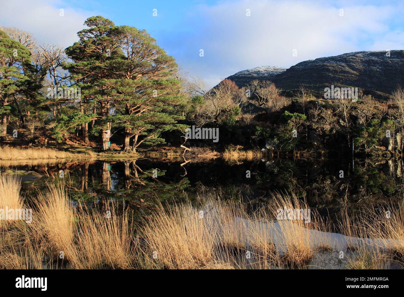 Ireland County Kerry Beautiful Landscape - Treffen der Gewässer am späten Nachmittag im Winter Stockfoto