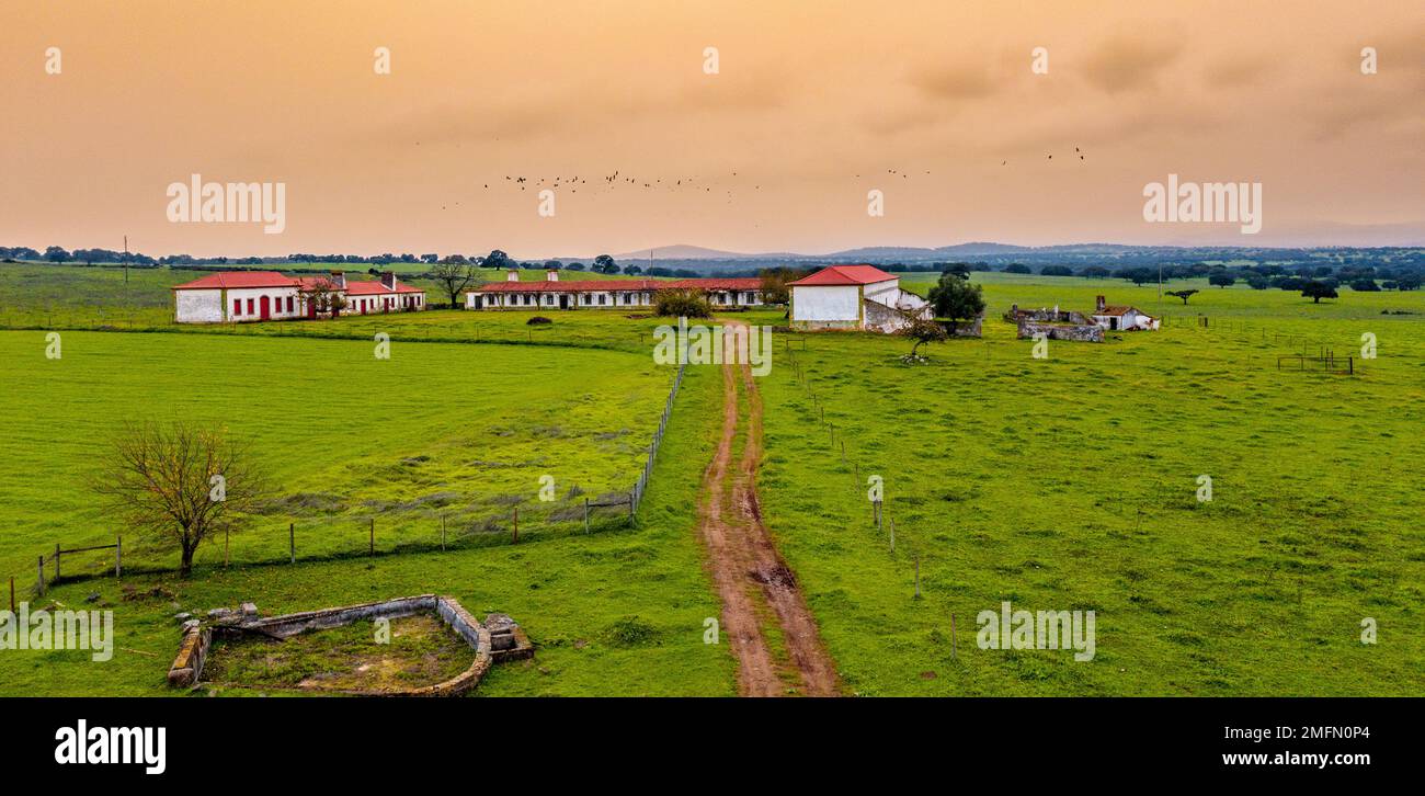 Blick aus der Vogelperspektive auf ein verlassenes Haus in Alentejo Stockfoto