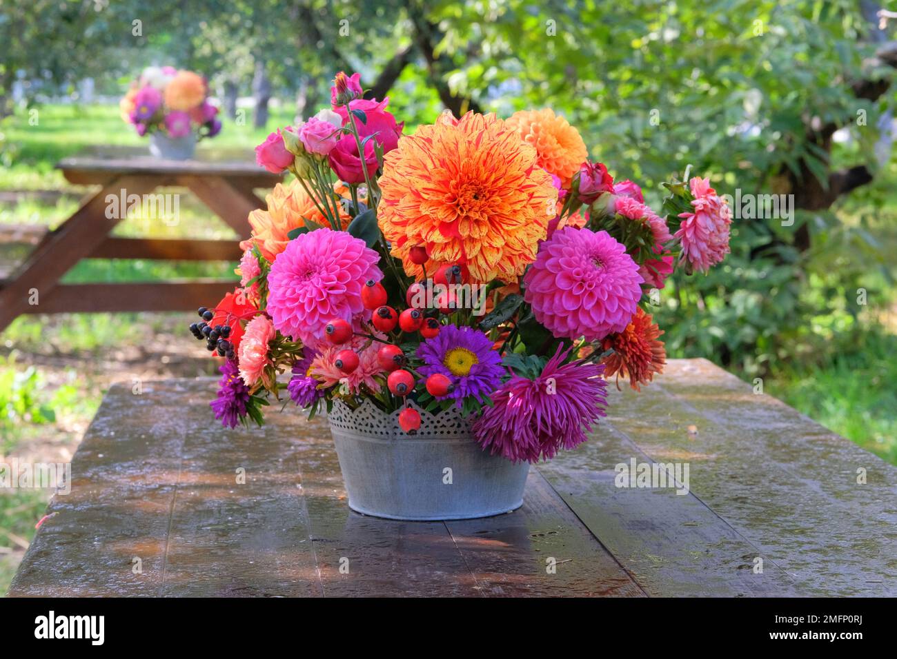 Rosen, Astern, Dahilia in Vase im Garten auf einem Holztisch. Sonniger Tag. Veranda im Garten. Stockfoto