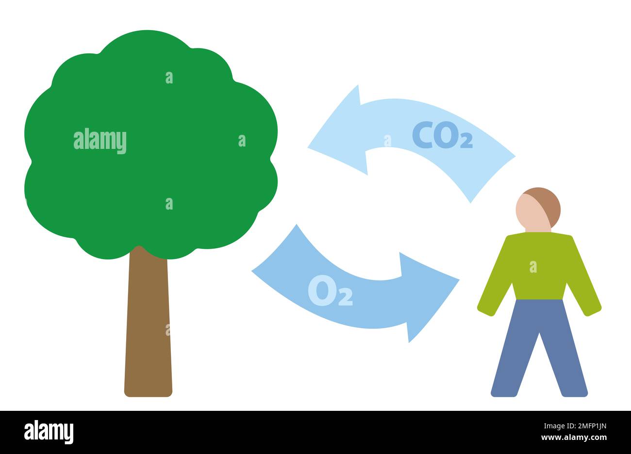 Symbol für Kohlenstoffzyklus. Kohlendioxidsauerstoffaustausch zwischen Mensch und Baum. Ausatmung und Resorption von CO2-Kohlendioxid. Stockfoto