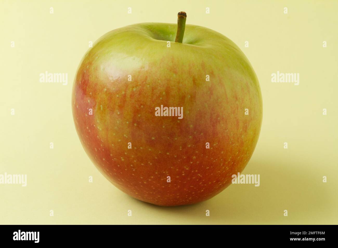Nahaufnahme eines Braeburn-Apfels auf einem einfachen Hintergrund Stockfoto