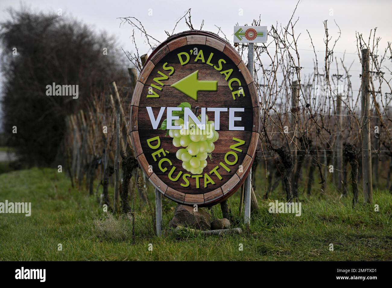 Schild Wine Sale and Tasting, Wine Barrel, in der Nähe von Riquewihr, Reichenweier, Richewihr, Departement Haut-Rhin, Elsass, Frankreich Stockfoto