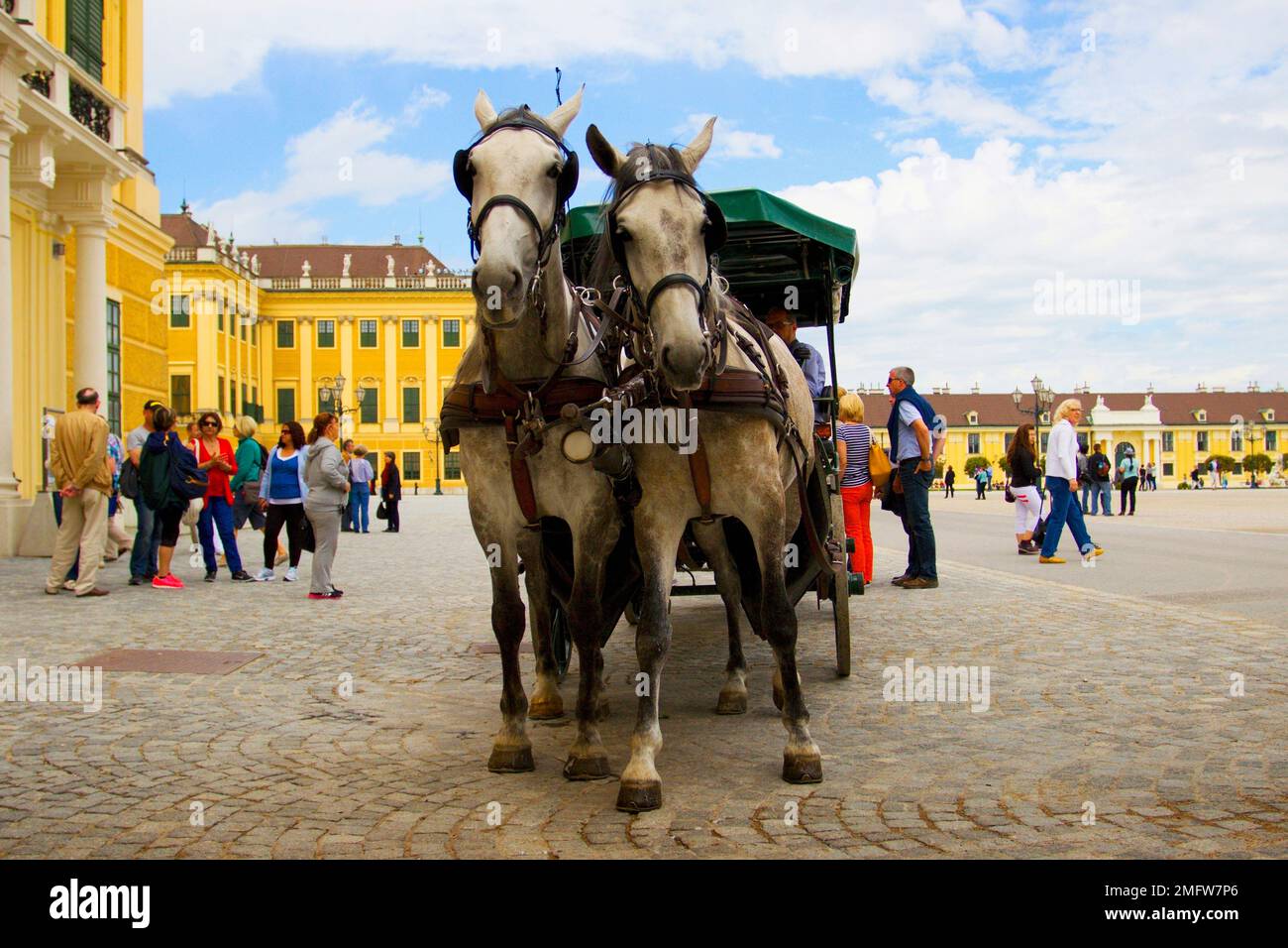 Pferdekutsche mit Kutsche vor Schloss Schönbrunn in Wien. Stockfoto
