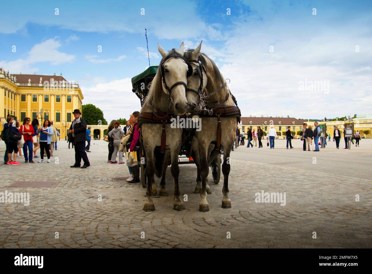 Pferdekutsche mit Kutsche vor Schloss Schönbrunn in Wien. Stockfoto