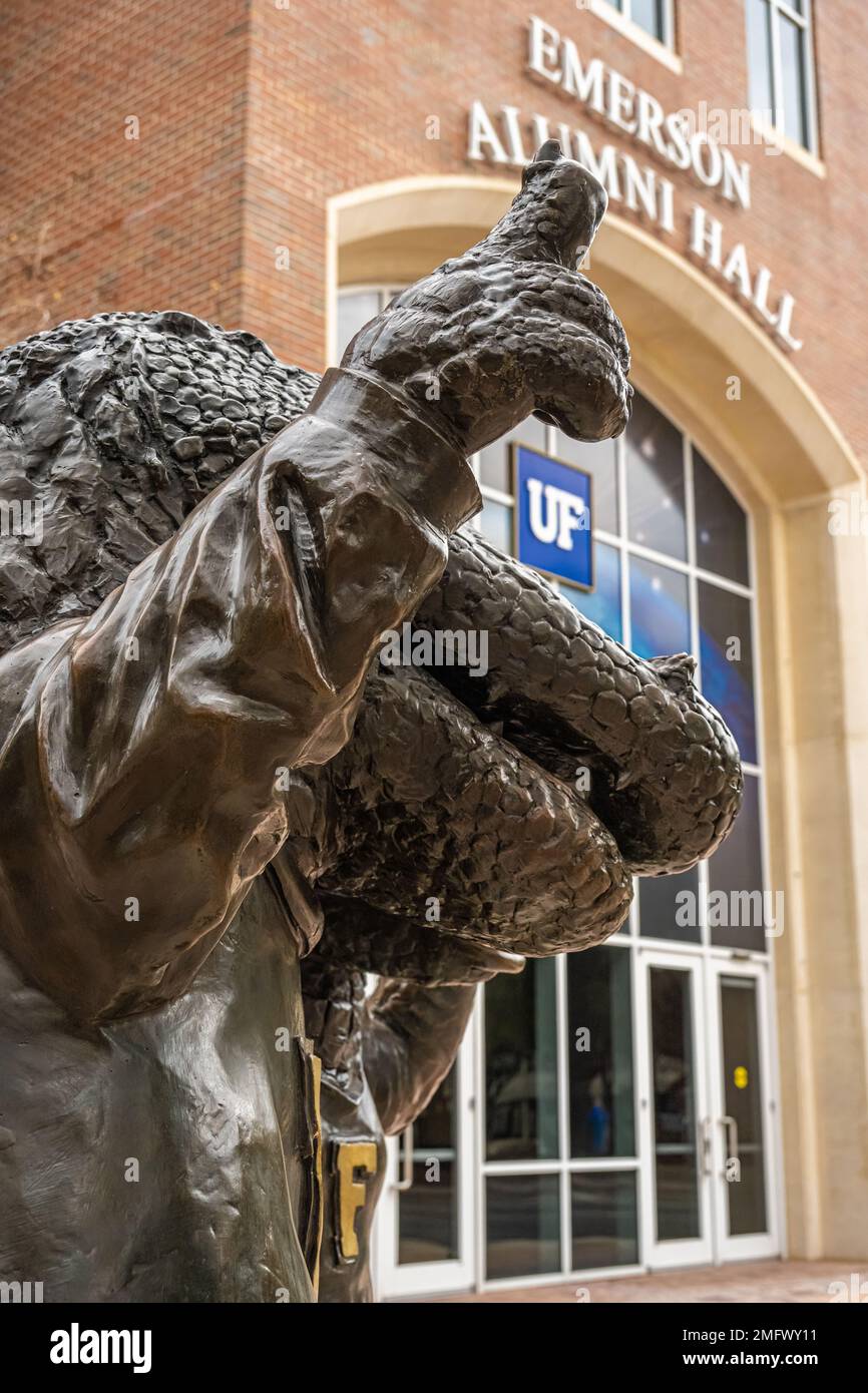 Bronzestatue von Albert, das Alligatormaskottchen der University of Florida, neben der Emerson Alumni Hall und gegenüber vom Ben Hill Griffin Stadium der Universität. Stockfoto
