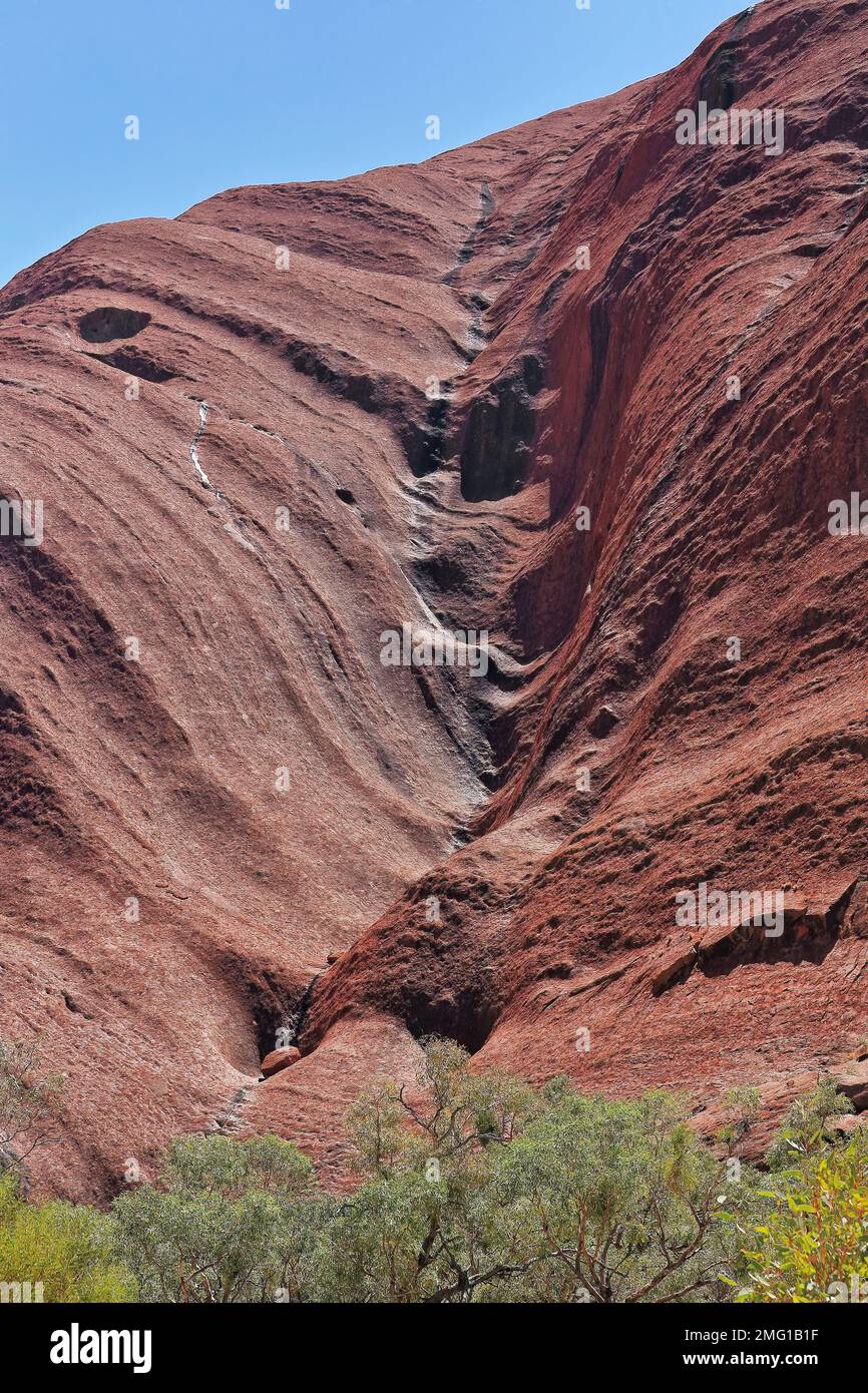 449 Dunkles Algenwasserzeichen des gestuften trockenen Wasserfalls am Uluru-Ayers Rock, vom Fuß aus gesehen. NT-Australien. Stockfoto