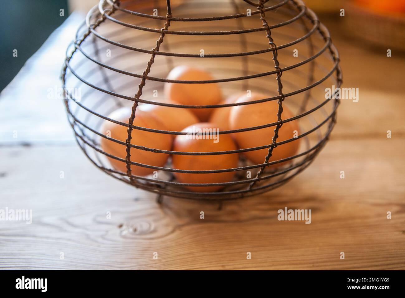 Alte Eierschale aus rostigem Draht. Hintergrund im Landhausstil. Konzentrieren Sie sich auf Draht Stockfoto