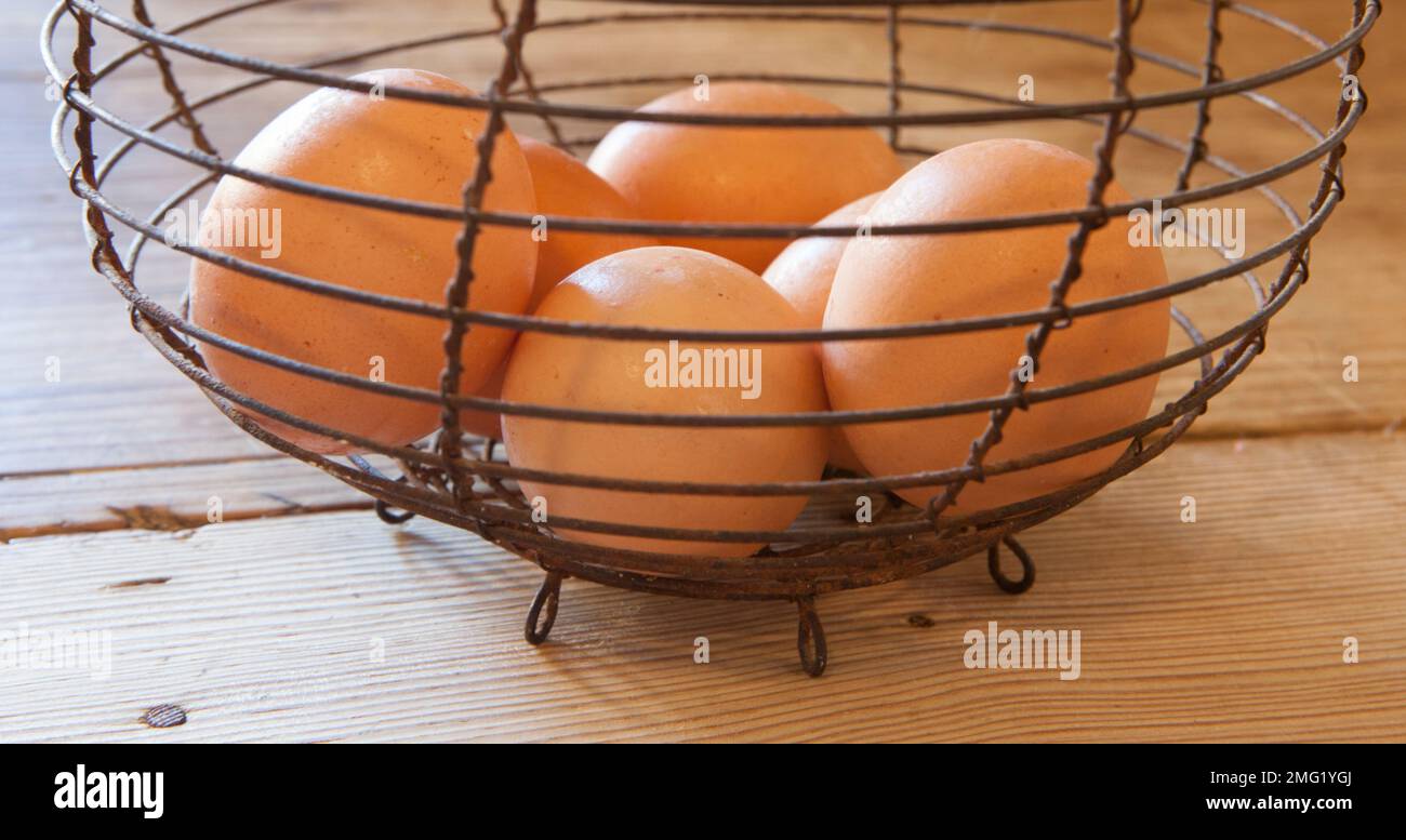 Alte Eierschale aus rostigem Draht. Hintergrund im Landhausstil. Langformat Stockfoto