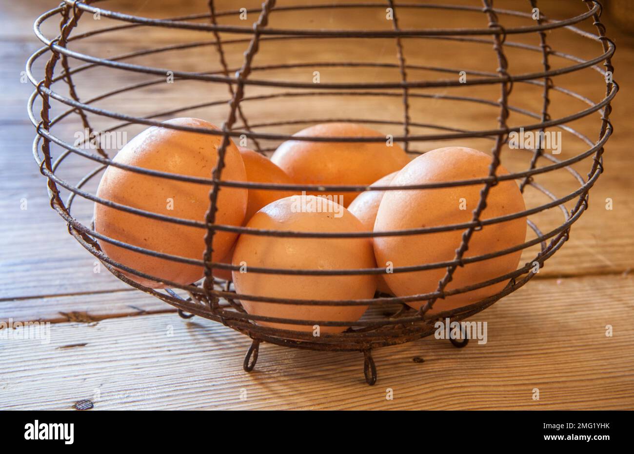 Alte Eierschale aus rostigem Draht. Hintergrund im Landhausstil. Konzentrieren Sie sich auf Draht Stockfoto