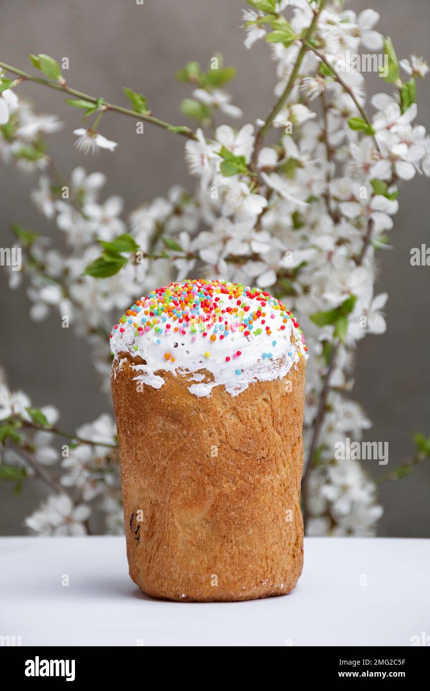 Traditioneller Osterkuchen mit weißem Baiser, dekoriert mit Zucker oder süßem Brot, blühenden weißen Kirschzweigen, Vorderansicht. Freier Kopierspeicher. Stockfoto