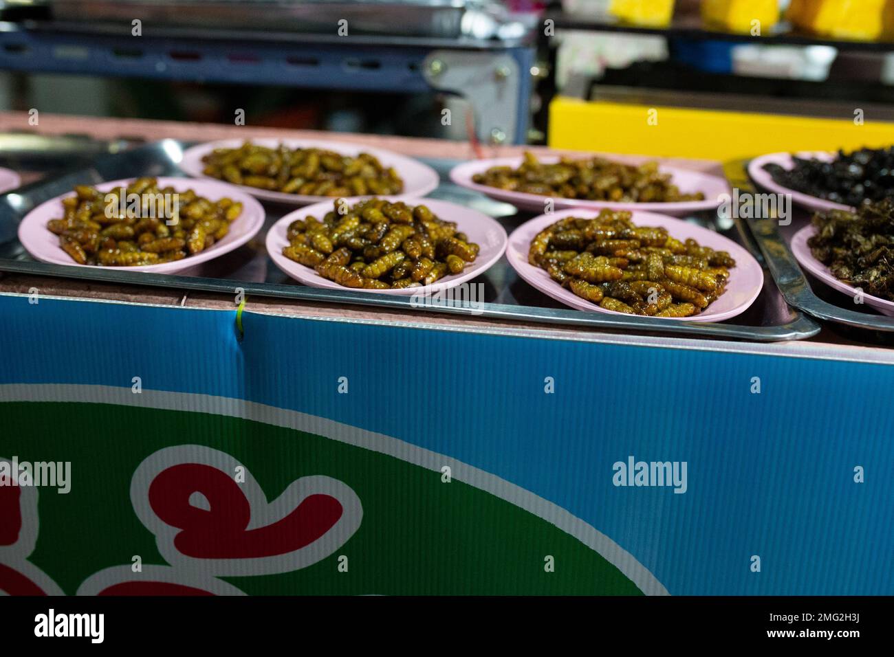 Insekten zum Verkauf auf dem Nachtmarkt, Thailand Stockfoto
