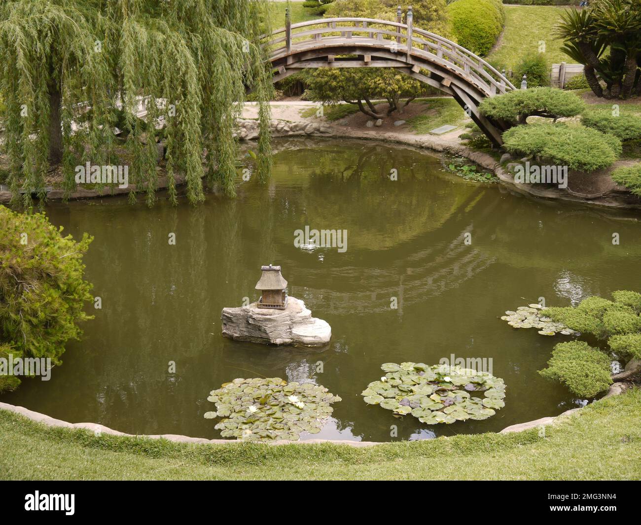 Mondbrücke über den Teich im Japanischen Garten, Huntington Botanical Gardens, San Marino Stockfoto