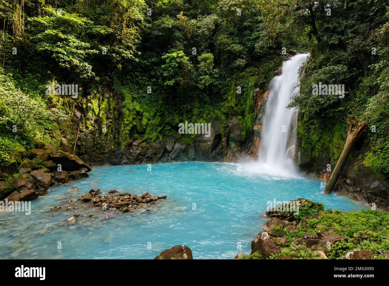 Wasserfall entlang des unverwechselbar türkisfarbenen Rio Celeste (himmelblauer Fluss) im Tenorio Volcano National Park. Stockfoto