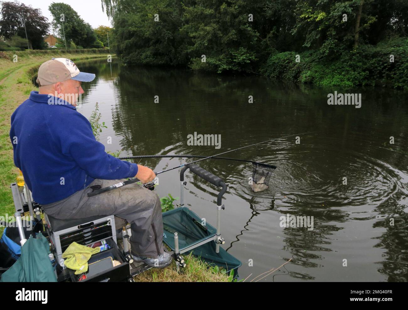 Fischer, die nach einem Bissen einen Fang anlanden, auf dem Bridgewater Canal, Grappenhall, Warrington, Cheshire, England, UK, WA4 3EL Stockfoto