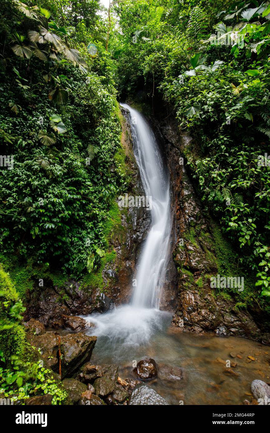Wasserfall im Mistico Arenal Hanging Bridges Park, Provinz Alajuela, Costa Rica. Stockfoto