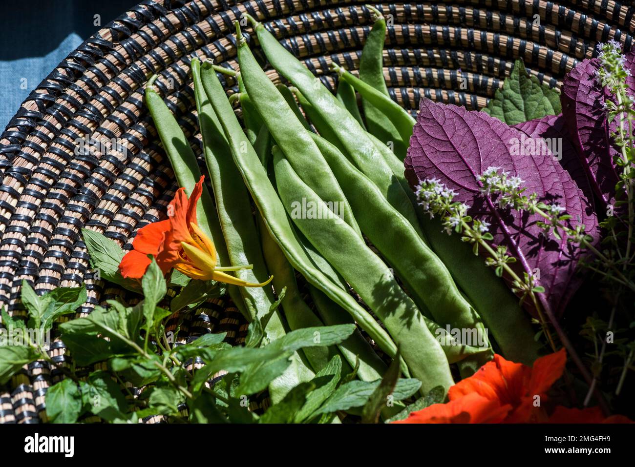 Geerntetes Gemüse, Kräuter und essbare Blumen im Korb Stockfoto
