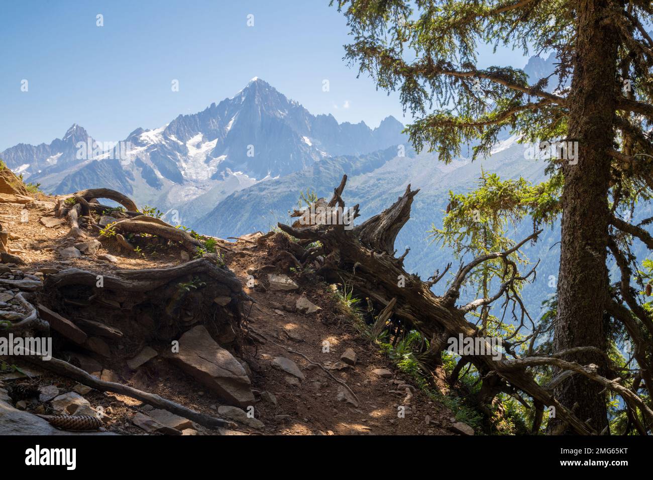 Die Gipfel von Aiguilles Verte und Petit Dru - Chamonix. Stockfoto