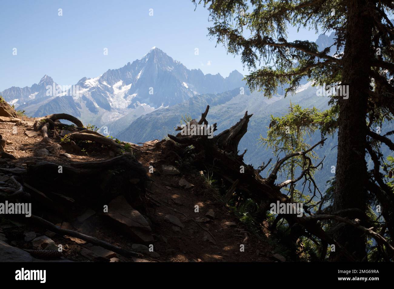 Die Gipfel von Aiguilles Verte und Petit Dru - Chamonix. Stockfoto