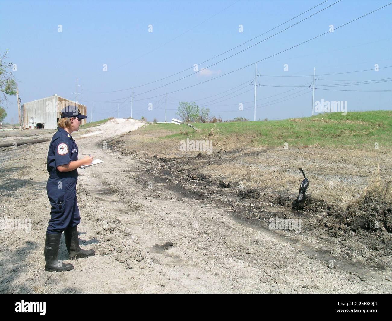 ESU St. Louis - Murphy Oil - 26-HK-319-118. MST1 Braun beobachtet geölten Vogel. Hurrikan Katrina Stockfoto