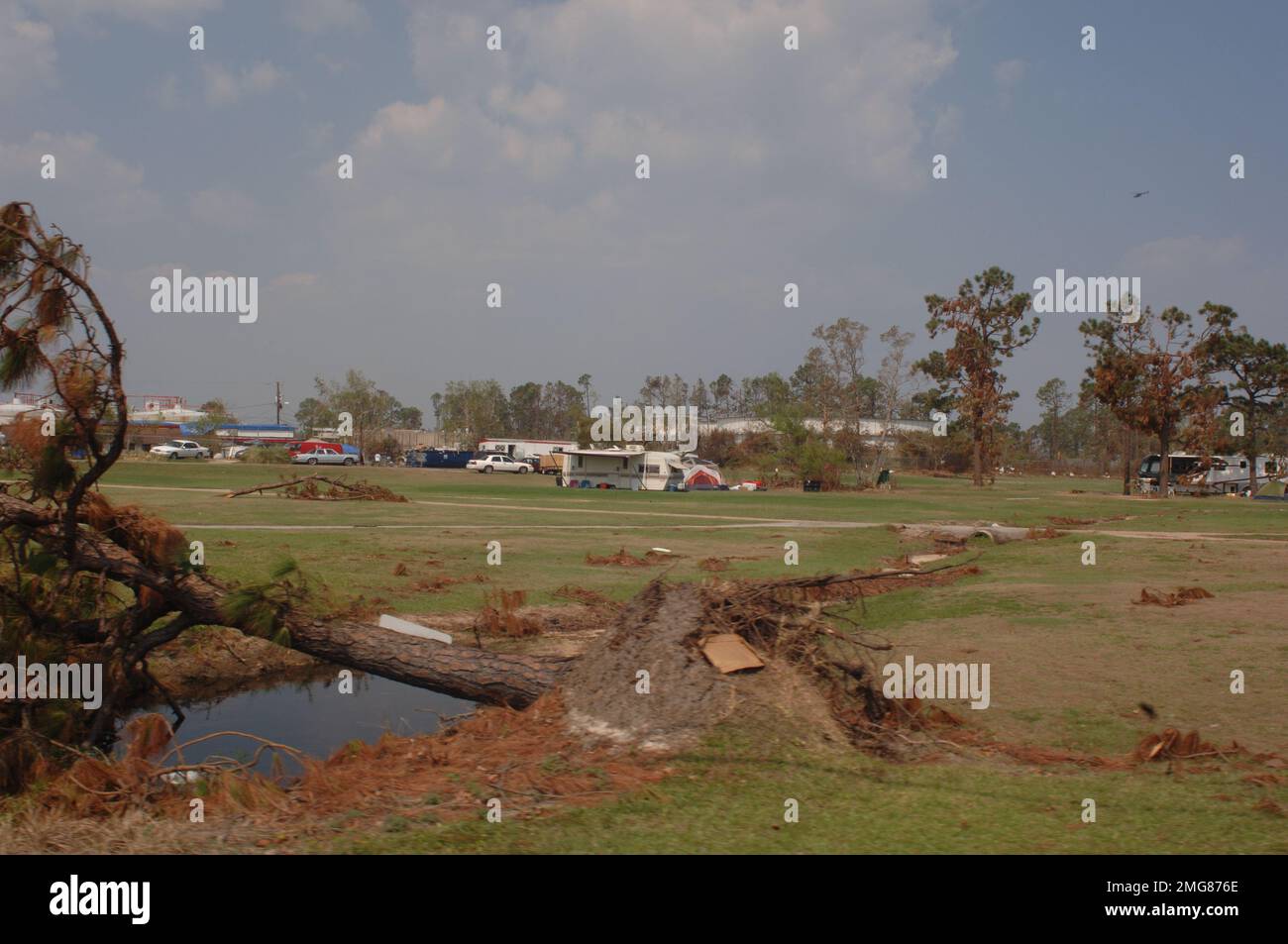 Navigationshilfen - 26-HK-63-47. Großer, entwurzelter Baum in der Nähe von Feld, Wohnmobil und Fahrzeugen. Hurrikan Katrina Stockfoto