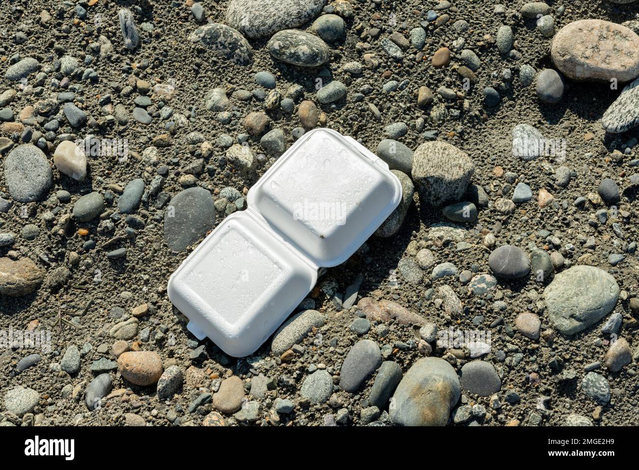 Fastfood-Schaum-Paketkiste wurde am Strand entsorgt Stockfoto