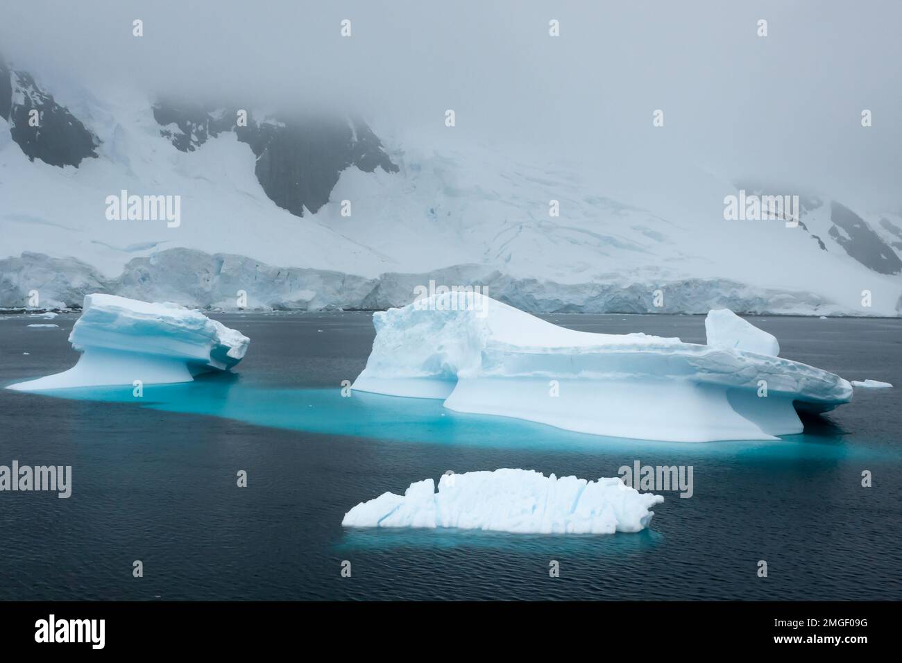 Eisberge, jeder ganz individuell, wie handgefertigte Eisskulpturen, schweben leise über das Meer der Antarktis. Stockfoto