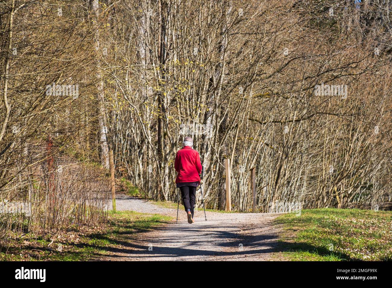 Seniorin, die an einem schönen Frühlingstag in der Sonne spaziert Stockfoto