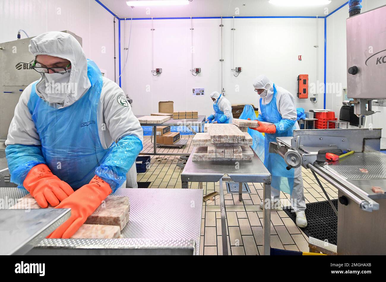 Boulogne-sur-Mer (Nordfrankreich): Familienunternehmen Le Garrec, spezialisiert auf Meeresprodukte. Fischverarbeitungsbetrieb und Verpackungsbetrieb für Meeresfrüchte. Mitarbeiter Stockfoto