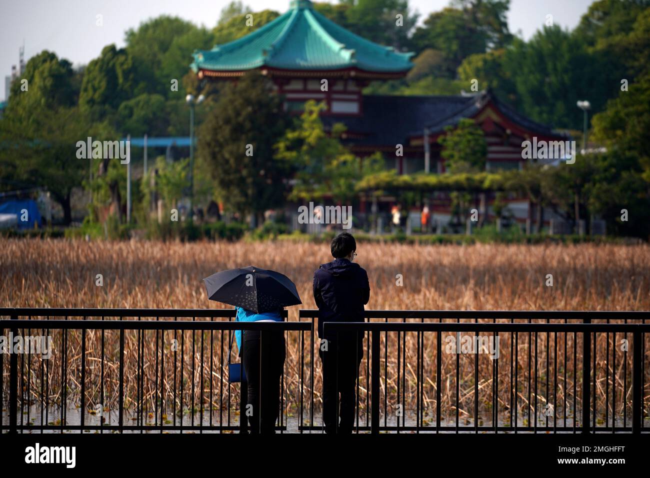 A man and a woman look at a pound at a park in Tokyo, at the start of Golden Week holiday Wednesday, April 29, 2020. Japan's Prime Minister Shinzo Abe expanded a state of emergency to all of Japan from just Tokyo and other urban areas as the virus continues to spread. (AP Photo/Eugene Hoshiko) Stockfoto