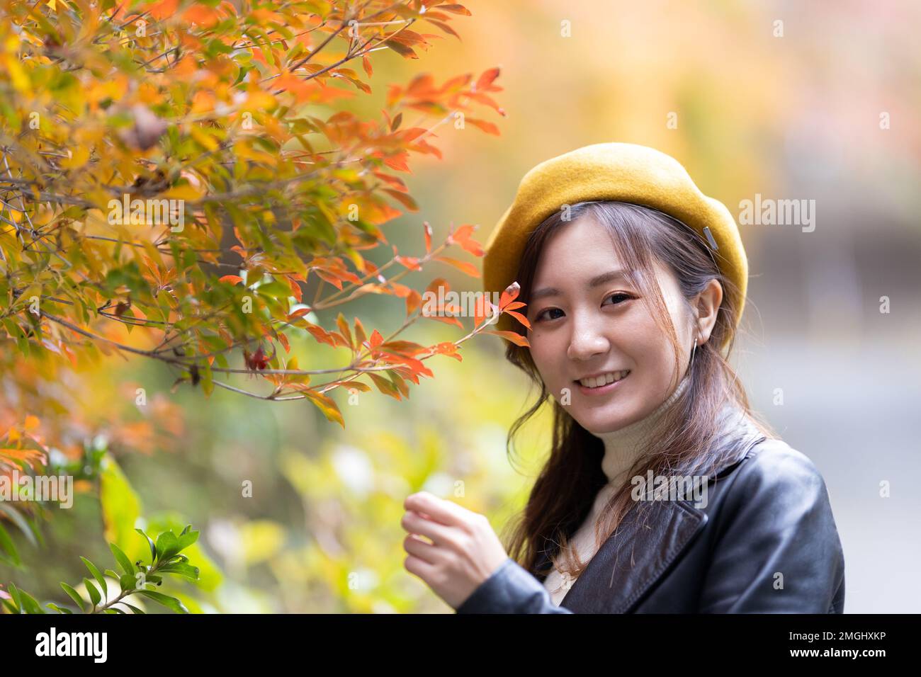 Wunderschöne Herbstblätter und schöne japanische Frauen in Japan Stockfoto