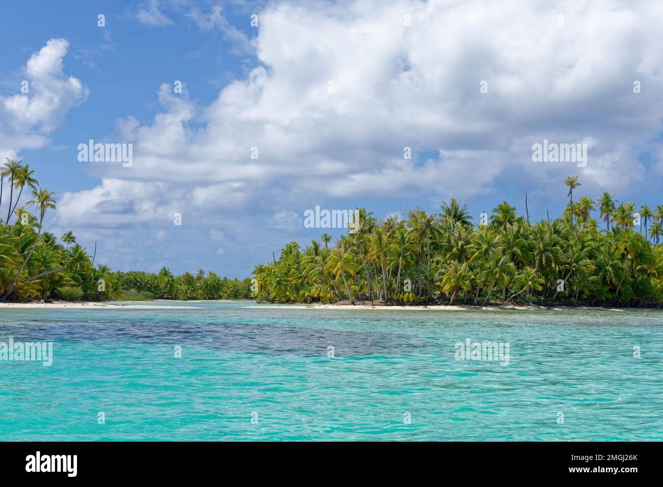 Französisch-Polynesien, Rangiroa: Riffinsel, Insel (‚motu‘) Stockfoto