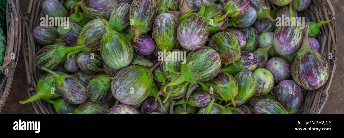 Violette Aubergine auf dem Markt in Indien, Draufsicht mit ausgewähltem Fokus Stockfoto