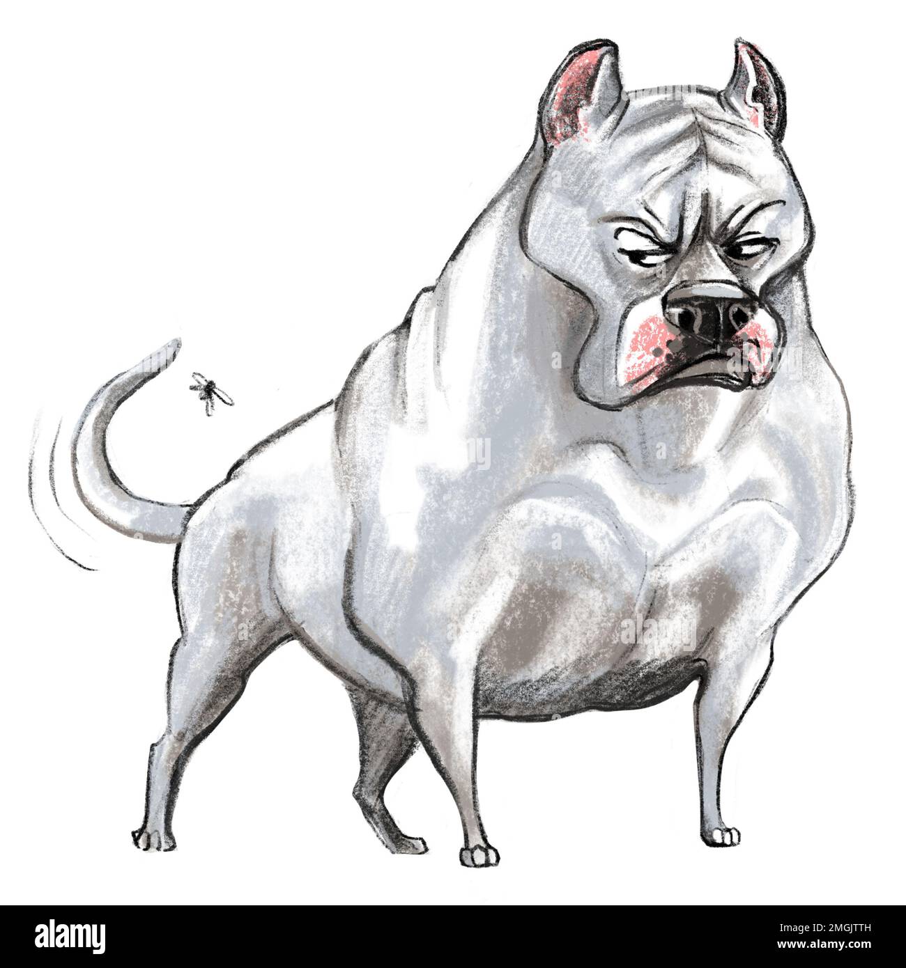 Süße, lustige Zeichentrickfigur. Dogo argentino Hundeschlittenraster-Illustration isoliert auf weißem Hintergrund. Für Druck, Design, Sublimation, Aufkleber, Stockfoto