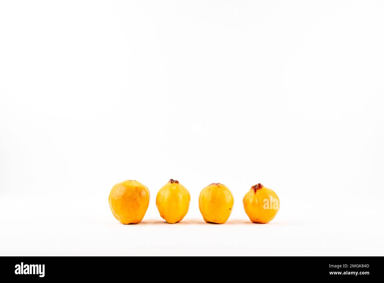 Frische reife Quitten auf weißem Hintergrund isoliert. Volle Schärfentiefe. Frische Quitten für die Diät roh ungekocht gesund leckere vegane pflanzliche Bio Stockfoto